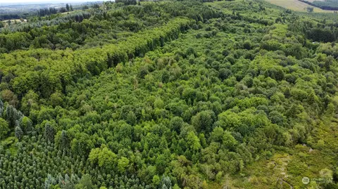 0 Johnson Rd, Onalaska, WA 98570 photo 10