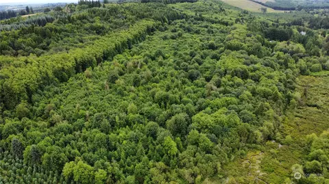 0 Johnson Rd, Onalaska, WA 98570 photo 12
