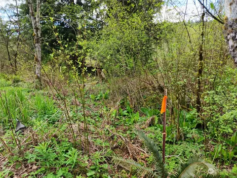 0 Johnson Rd, Onalaska, WA 98570 photo 13