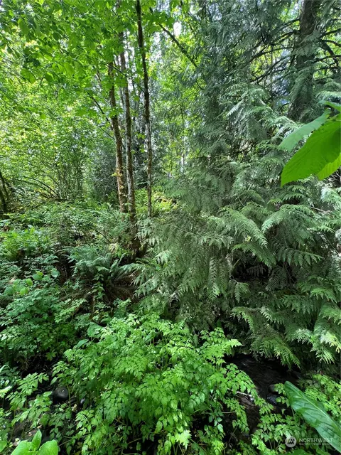 0 Johnson Rd, Onalaska, WA 98570 photo 26