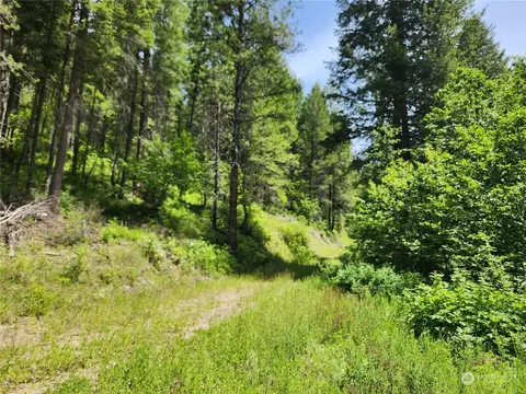 0 Tbd Well Creek Rd, Keller, WA 99140