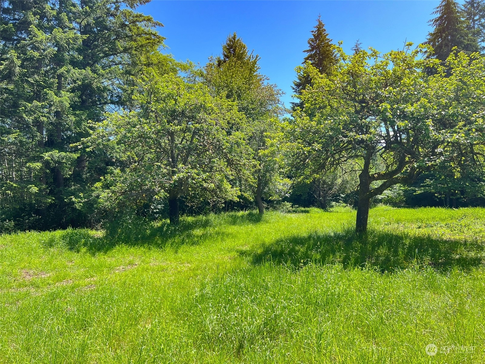 201 Reuben Johnson Rd