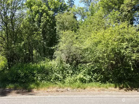 22102 58th Street Ct E, Spanaway, WA 98387 photo 6