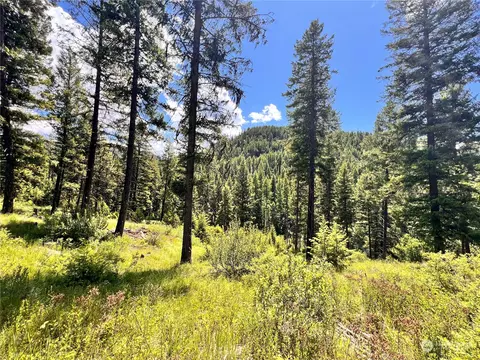 0 Tbd Old Kettle Falls Rd, Republic, WA 99166