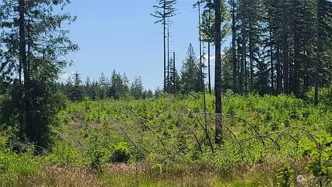 0 Logan Hill Rd, Chehalis, WA 98532