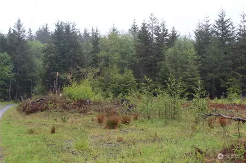 0 Misty Creek Ln, Port Angeles, WA 98305