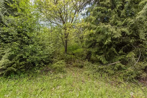 999 Louella Rd, Sequim, WA 98382 photo 30
