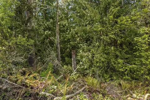 999 Louella Rd, Sequim, WA 98382 photo 35
