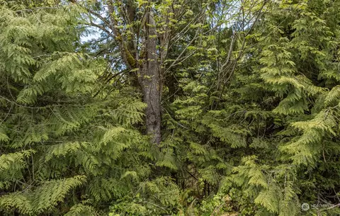 999 Louella Rd, Sequim, WA 98382 photo 31