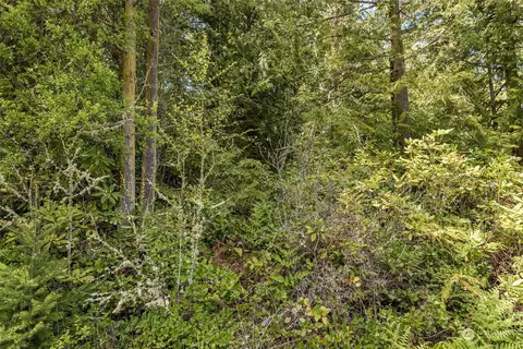 999 Louella Rd, Sequim, WA 98382 photo 32