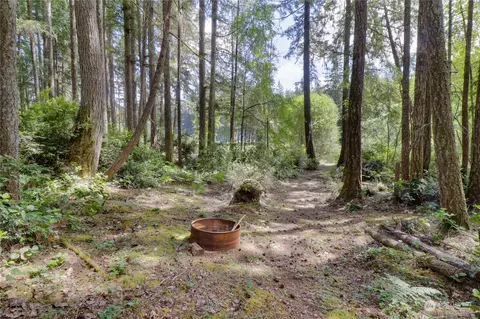 291 Emerald Lake Dr W, Grapeview, WA 98546 photo 10