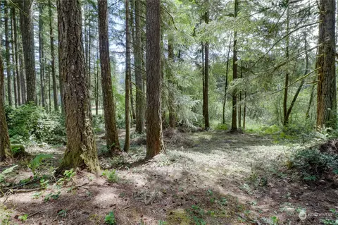 291 Emerald Lake Dr W, Grapeview, WA 98546 photo 9