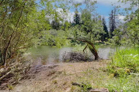 291 Emerald Lake Dr W, Grapeview, WA 98546 photo 11