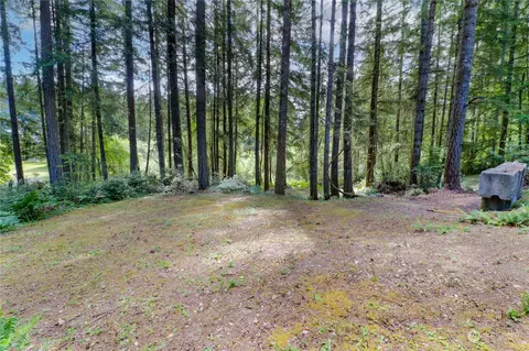 291 Emerald Lake Dr W, Grapeview, WA 98546 photo 8