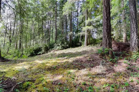 291 Emerald Lake Dr W, Grapeview, WA 98546 photo 14