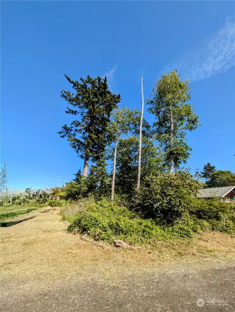 30810 Nn N Pl, Ocean Park, WA 98640