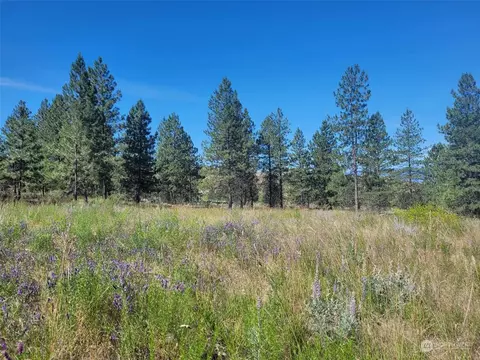 0 Rehmke Rd, Tonasket, WA 98855