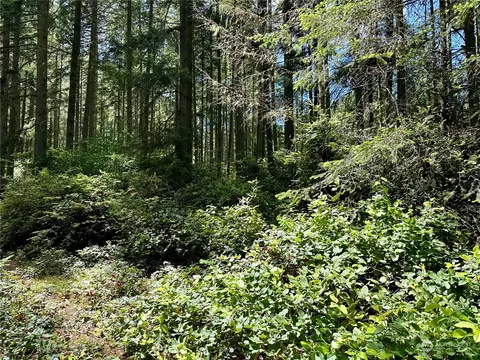 11402 Aqua Pl, Anderson Island, WA 98303