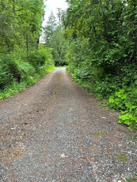 23520 41st Ave E, Spanaway, WA 98387 photo 3