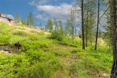 57 Sugar Pine Rd, Winthrop, WA 98862