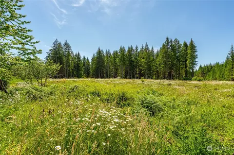 243 Haight Rd, Chehalis, WA 98532 photo 40