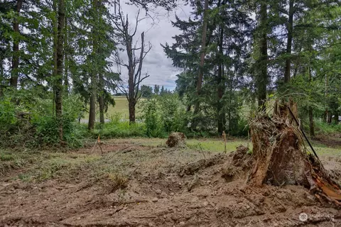 0 244th Ave SE, Enumclaw, WA 98022 photo 6