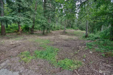 0 244th Ave SE, Enumclaw, WA 98022 photo 4