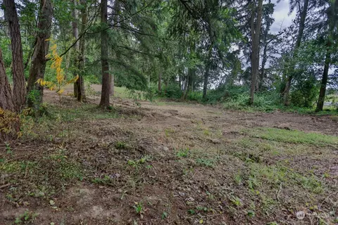 0 244th Ave SE, Enumclaw, WA 98022 photo 5