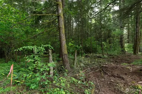 0 Avery Rd W, Winlock, WA 98596 photo 2