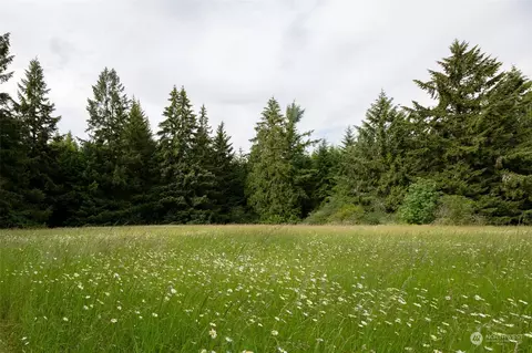 0 Avery Rd W, Winlock, WA 98596 photo 4