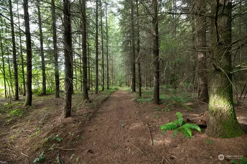 0 Avery Rd W, Winlock, WA 98596 photo 5