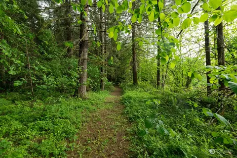 0 Avery Rd W, Winlock, WA 98596 photo 6