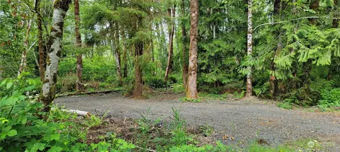 12 W Quillayute Trl, Elma, WA 98541
