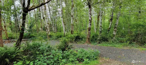 13 W Quillayute Trl, Elma, WA 98541