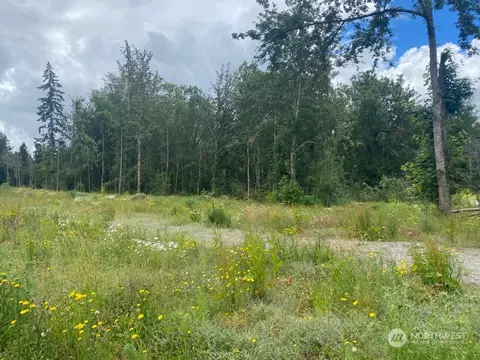 35311 48th Ave S, Roy, WA 98580