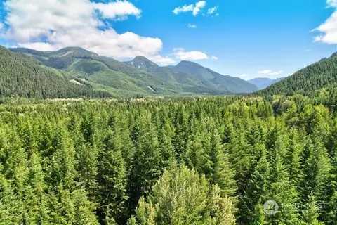 Other - 16725 Mountainside Dr E, Greenwater, WA 98022 photo 11 of 11