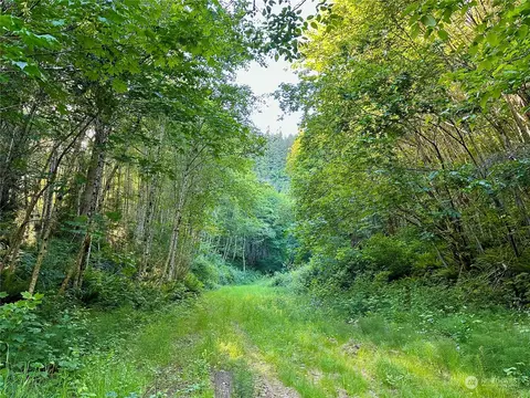0 Sr-4, Cathlamet, WA 98612