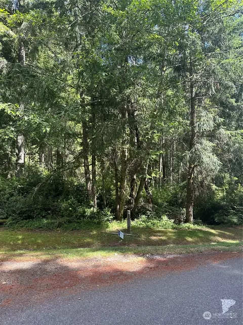 12112 Wapato Rd, Anderson Island, WA 98303