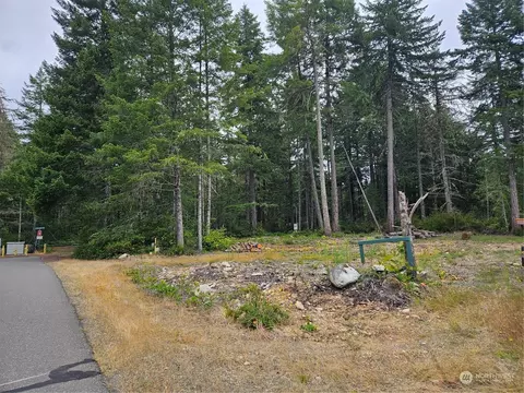1300 N Colony Surf Dr, Lilliwaup, WA 98555