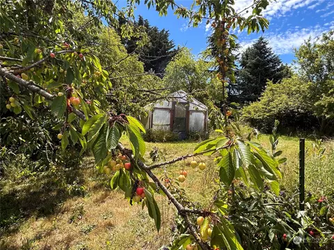 211 Robbins Rd, Sequim, WA 98382 photo 34