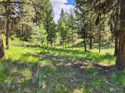 31 Indian Camp Rd, Oroville, WA 98844