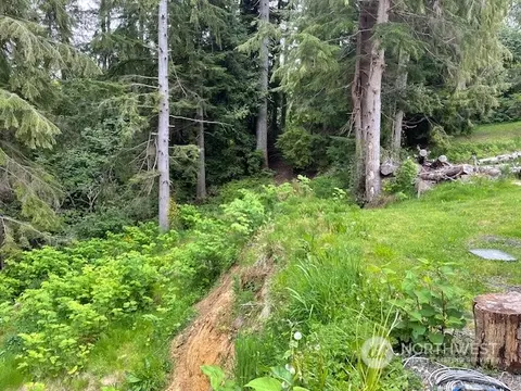 0 Forsythe Rainier, Aberdeen, WA 98520