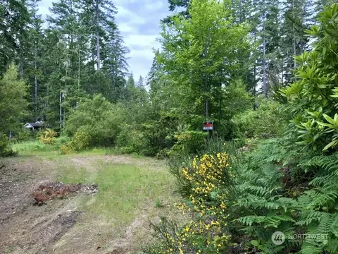161 E Coon Dr N, Belfair, WA 98528