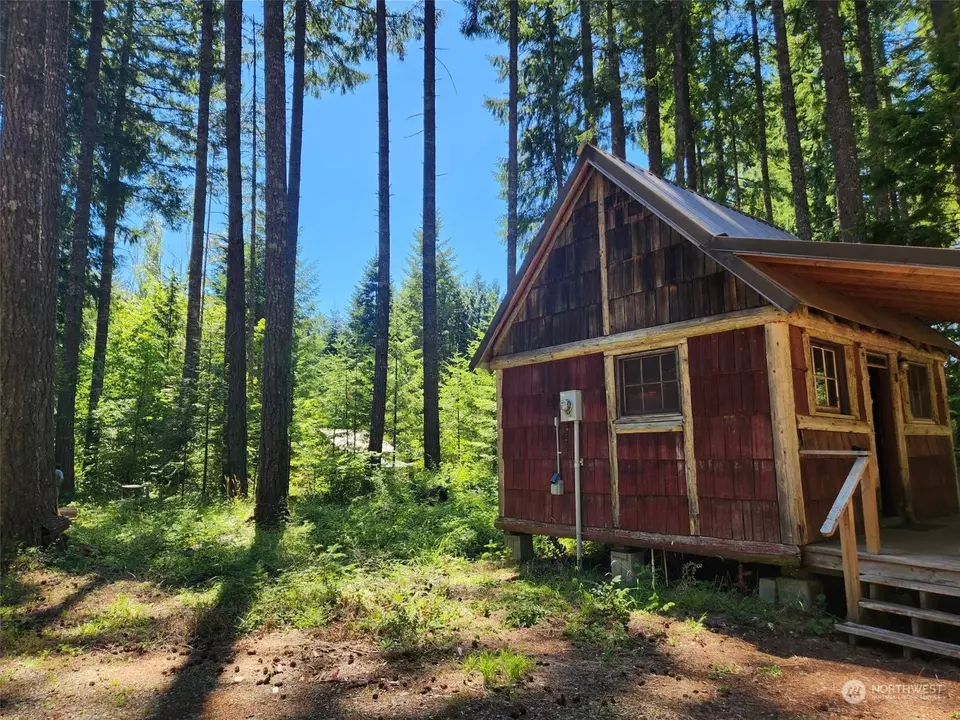  128 Maple Way, Packwood, WA 98361 photo 12
