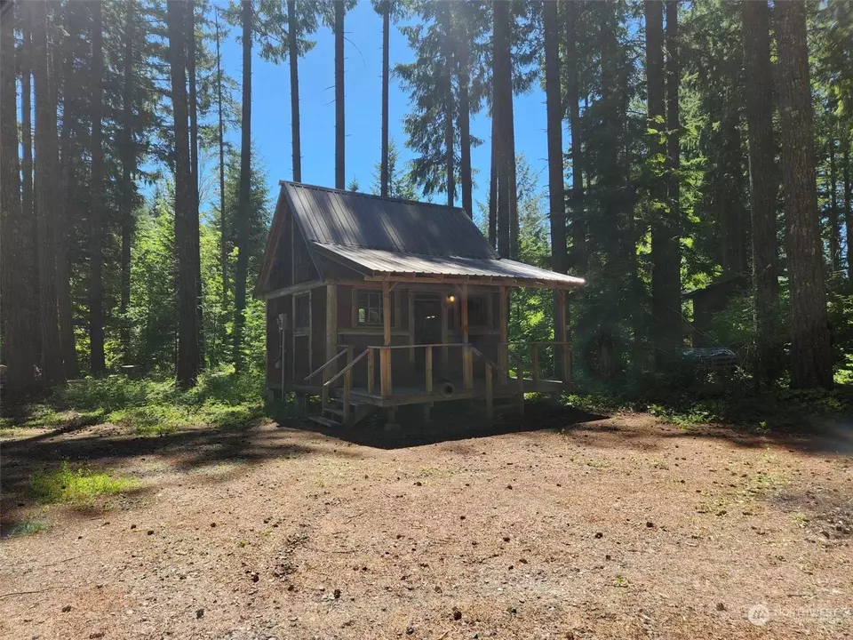  128 Maple Way, Packwood, WA 98361 photo 3