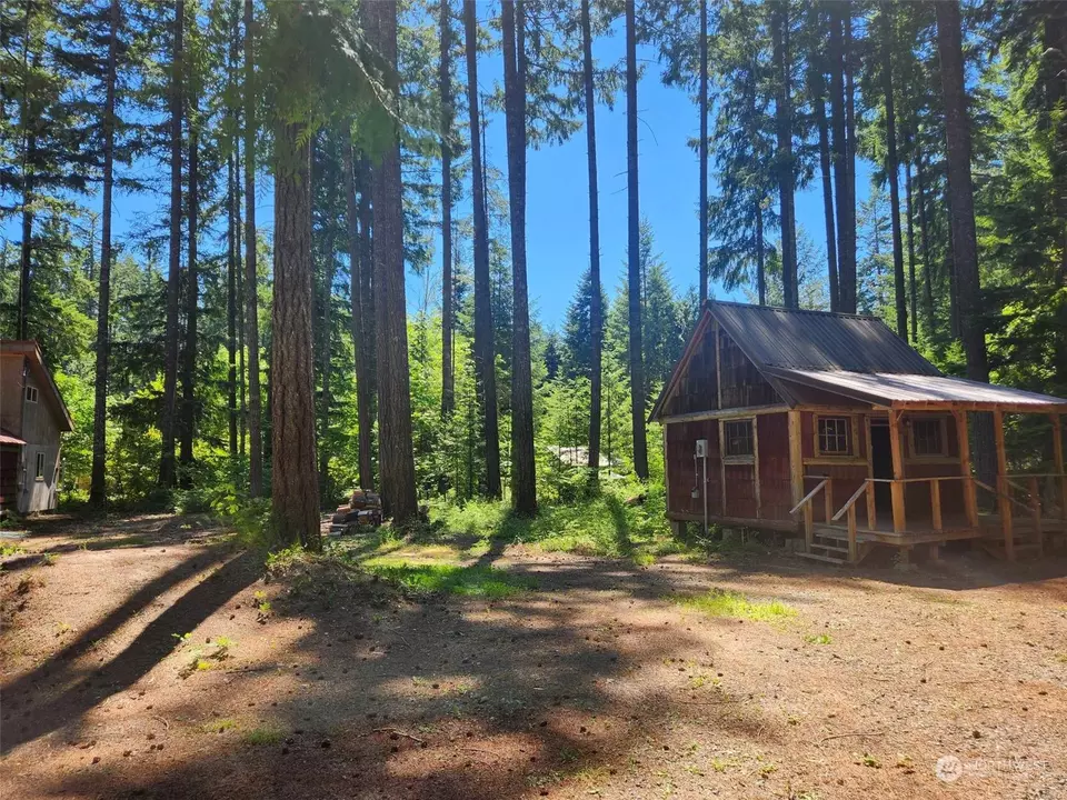  128 Maple Way, Packwood, WA 98361 photo 7
