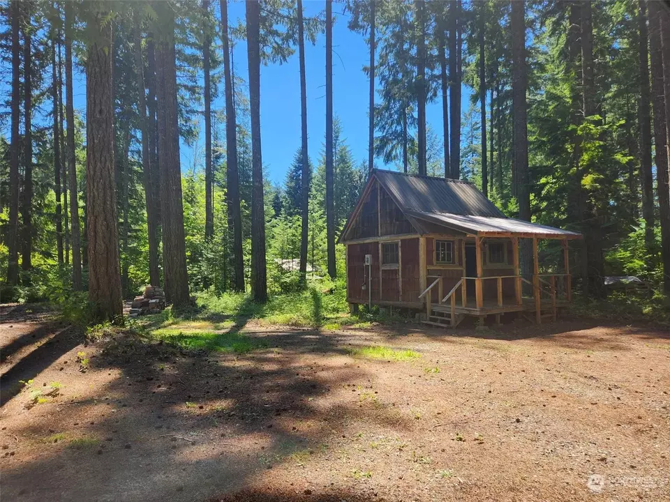  128 Maple Way, Packwood, WA 98361 photo 8
