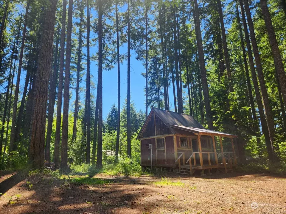  128 Maple Way, Packwood, WA 98361 photo 4