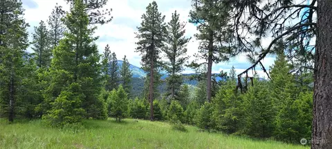 0 Lot 2 Old Kettle Falls Rd, Republic, WA 99166