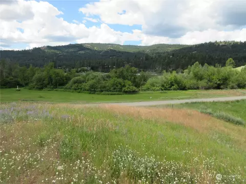 94 Curlew Dr, Republic, WA 99166
